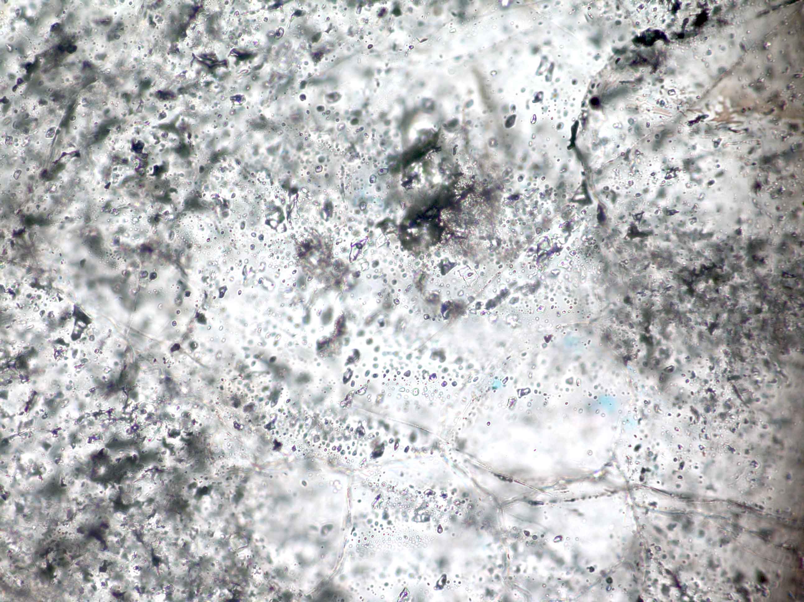 Fluid inclusions image 5