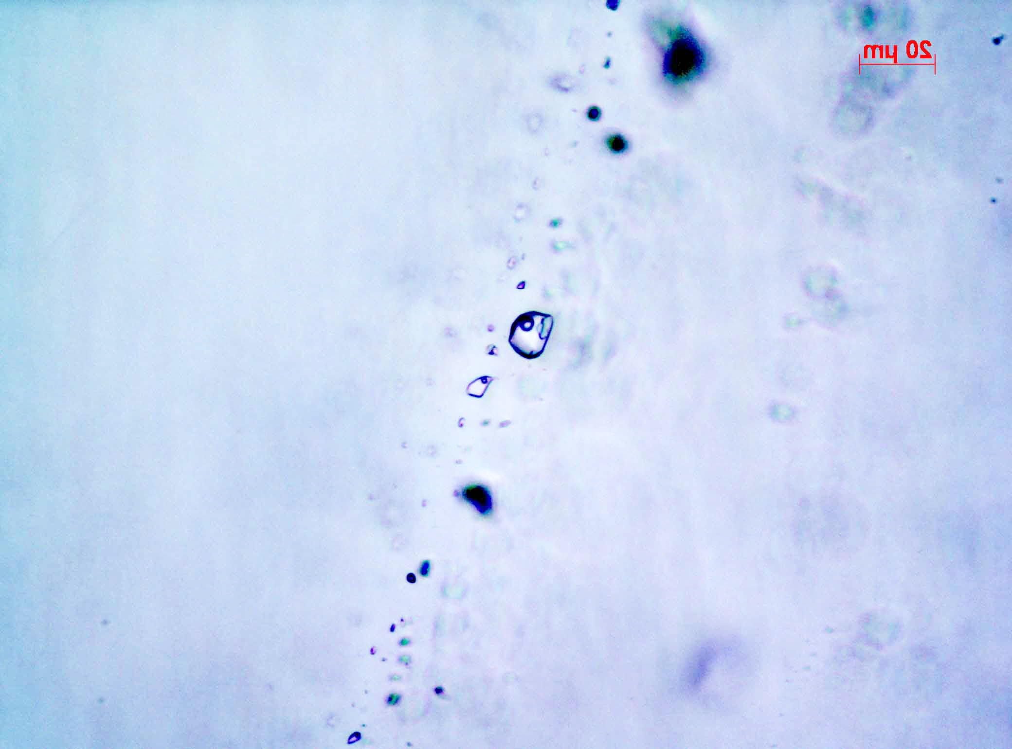 Fluid inclusions image 3 - microthermo